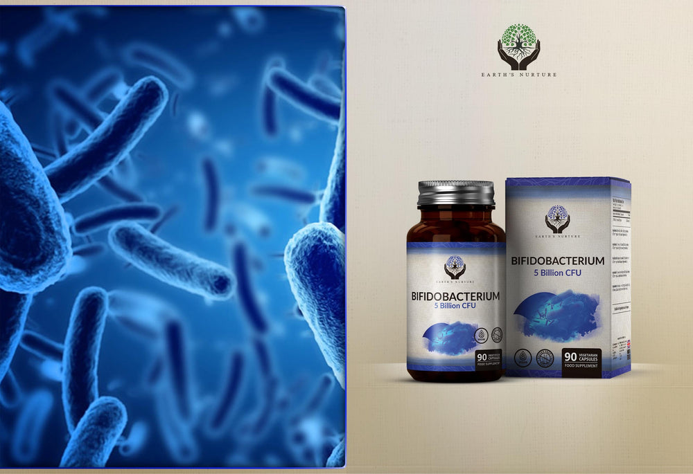 Bifidobacterium