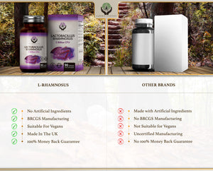 Lactobacillus Rhamnosus