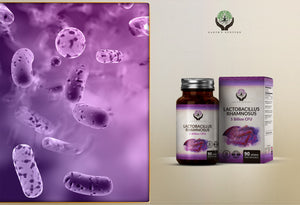 Lactobacillus Rhamnosus