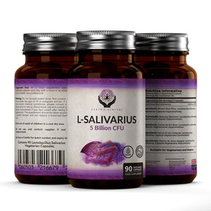 Lactobacillus Salivarius