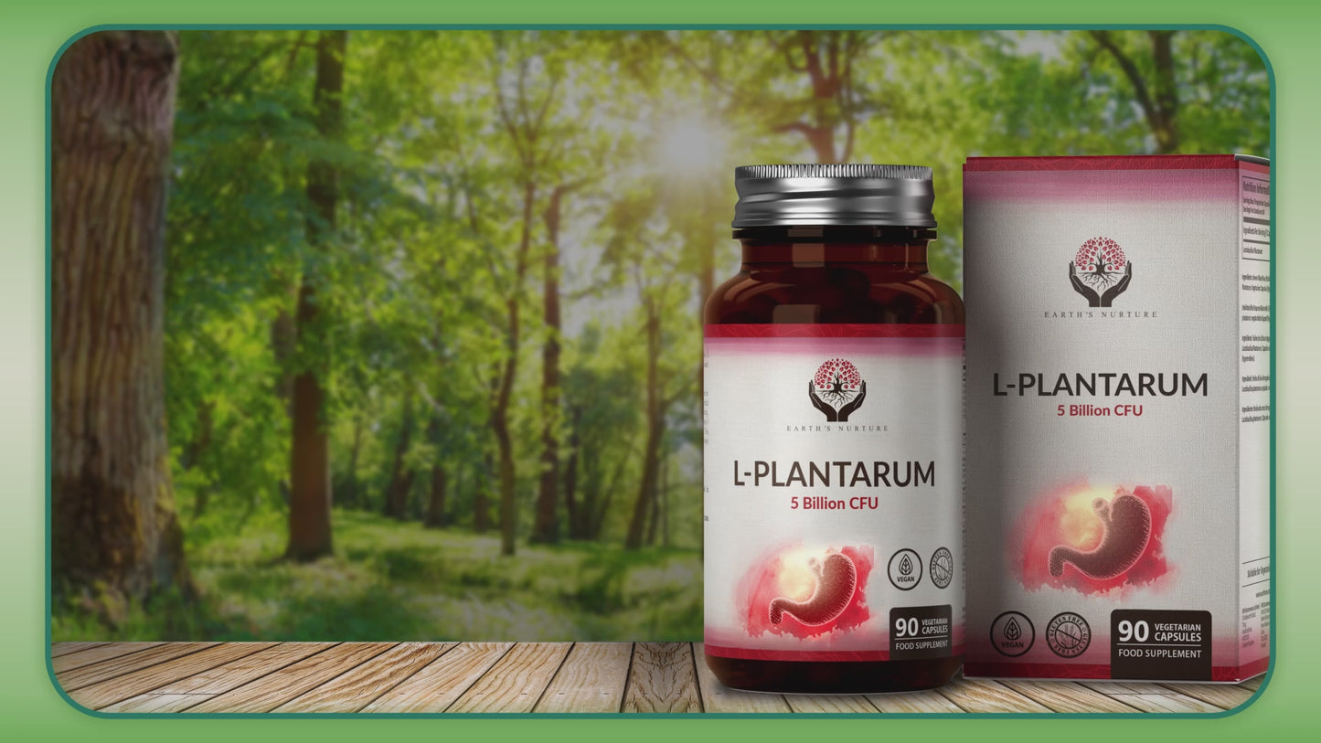 Lactobacillus Plantarum