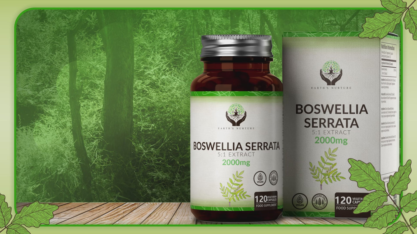 Boswellia Serrata