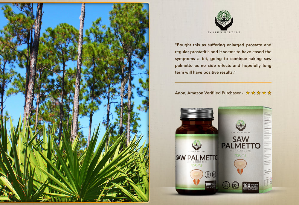 Saw Palmetto